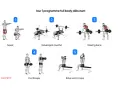 Jour 1 programme full body débutant : Squat, développé couché, rowing barre, curl biceps, extension triceps. Idéal pour un programme musculation débutant.