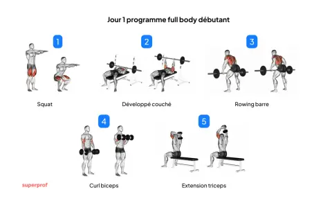 Programme de remise en forme pour débutants : squat, développé couché, rowing barre, curl biceps, extension triceps.