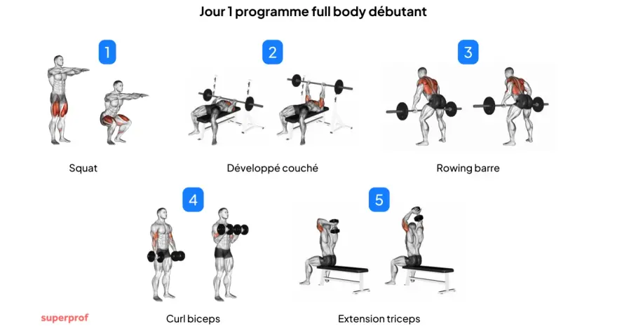 Jour 1 programme full body débutant : Squat, développé couché, rowing barre, curl biceps, extension triceps. Idéal pour un programme musculation débutant.