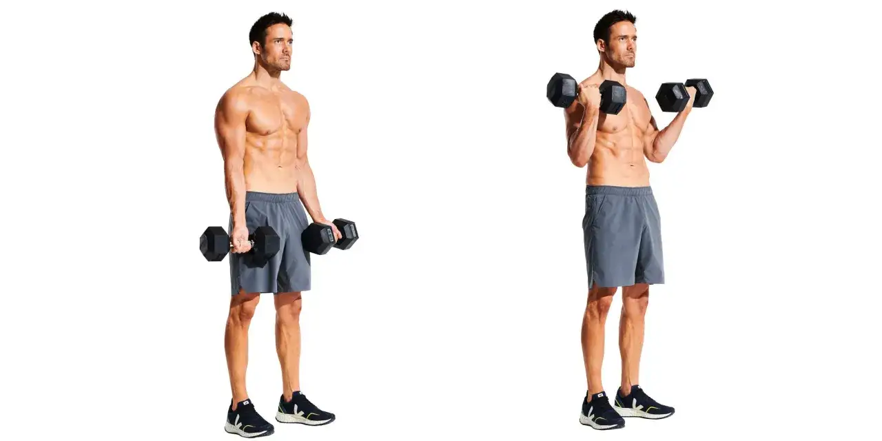 Homme musclé effectuant un exercice biceps haltère, montrant la phase de départ et la phase de contraction du mouvement.