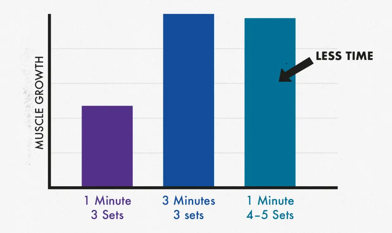 Graphique montrant la croissance musculaire. Le temps de repos musculation influence les r&eacute;sultats : 3 min de repos pour 3 s&eacute;ries vs 1 min de repos pour 4-5 s&eacute;ries.