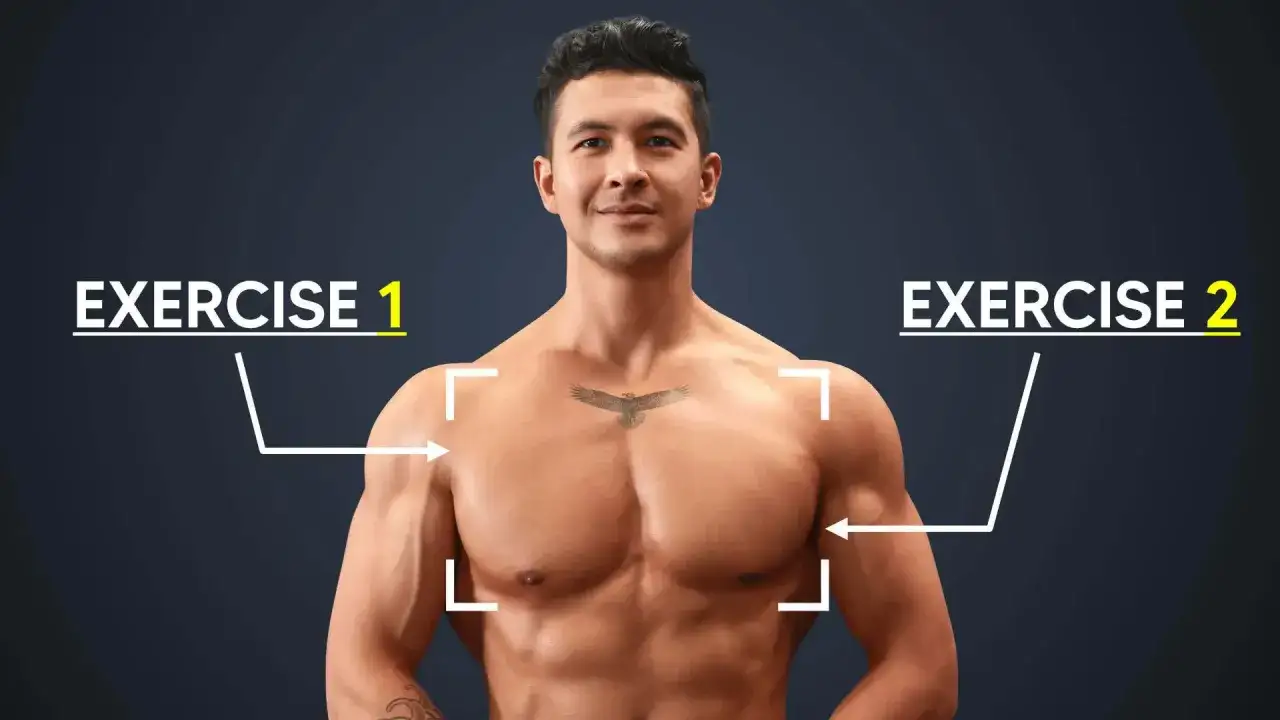 Un homme muscl&eacute; montre les zones cibl&eacute;es pour la musculation pectoraux, avec des indications pour l'exercice 1 et l'exercice 2.