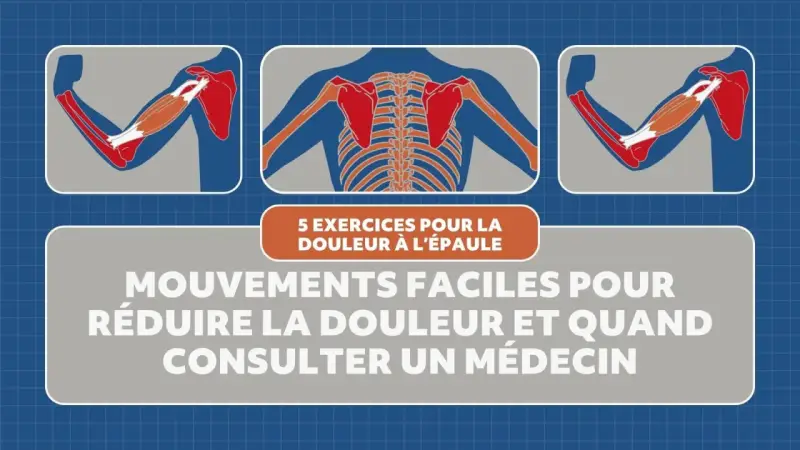Illustrations anatomiques montrant les muscles de l'épaule et du bras, avec le texte "5 exercices pour la douleur à l'épaule". Idéal pour les tendinite épaule exercices.
